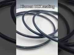 FEP Tetrafluoro Silicone cao su Fluor rubber phủ O-ring, Ghi phủ Fluor rubber