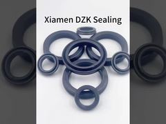 Ứng dụng Ứng dụng Ứng dụng Piston Xi lanh Mini Piston Ứng dụng/Y-SEAL RING VIL