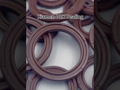 COP/APA cao su Fluorine Double-acting Cylinder Piston Seal đặc biệt O-ring