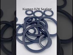 Xem thử nghiệm Phớt làm kín bằng O-ring kép trên Piston Rod của Xi lanh khí nén cao su APA NBR